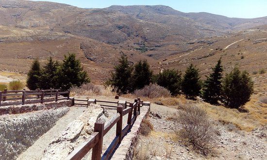 Μουσείο Φυσικής Ιστορίας ΑποΛιθωμέΝου Δάσους Λέσβου